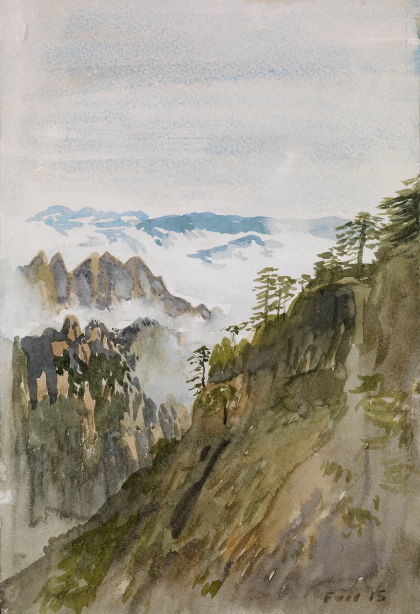 Yellow Mountain Pines, Huangshan, 2015 by Christian Furr
