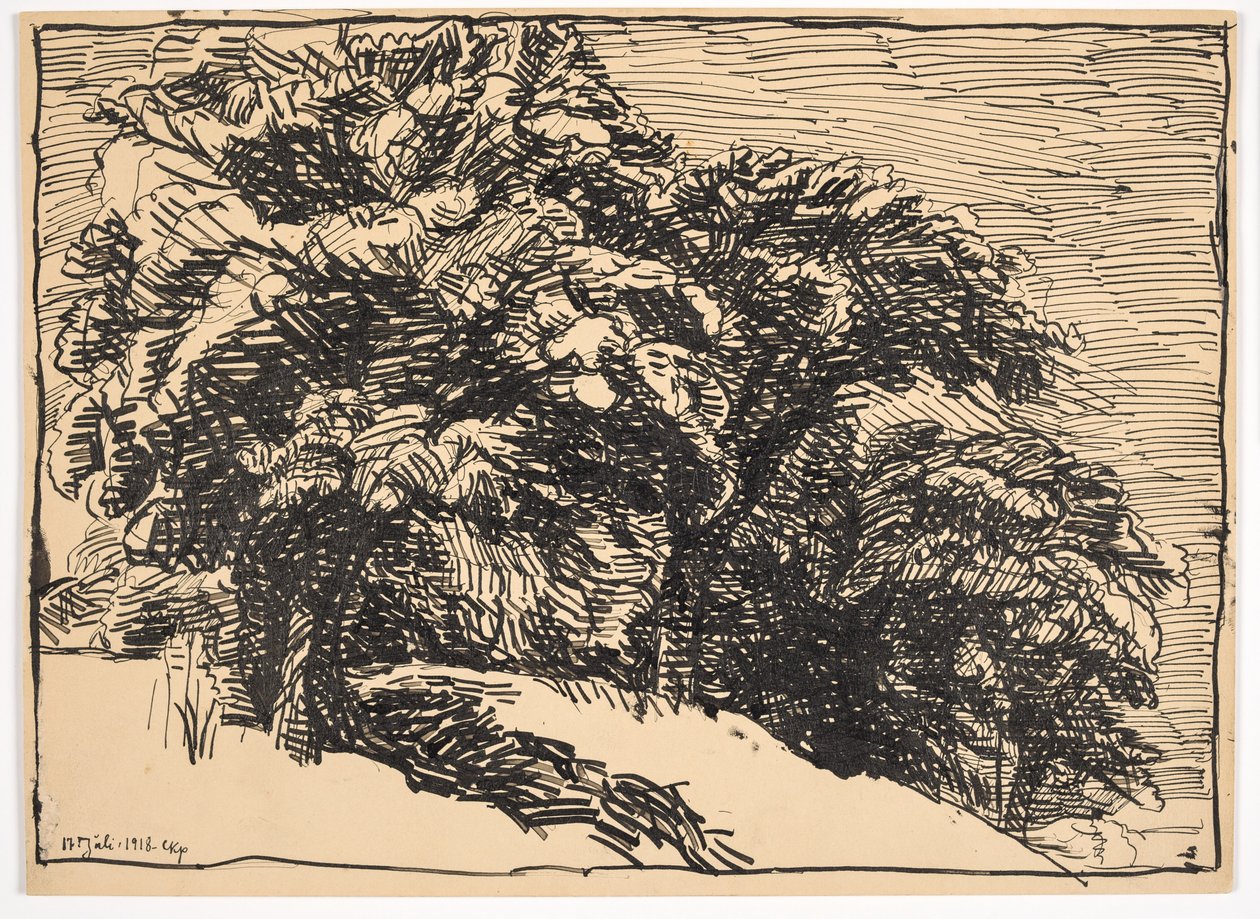 Oak Trees on a Bank by Christian Kongstad Petersen