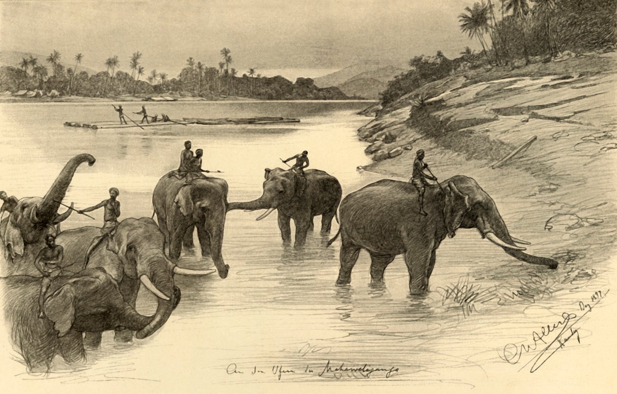 Elephants on the banks of the Mahaweli River, Ceylon by Christian Wilhelm Allers