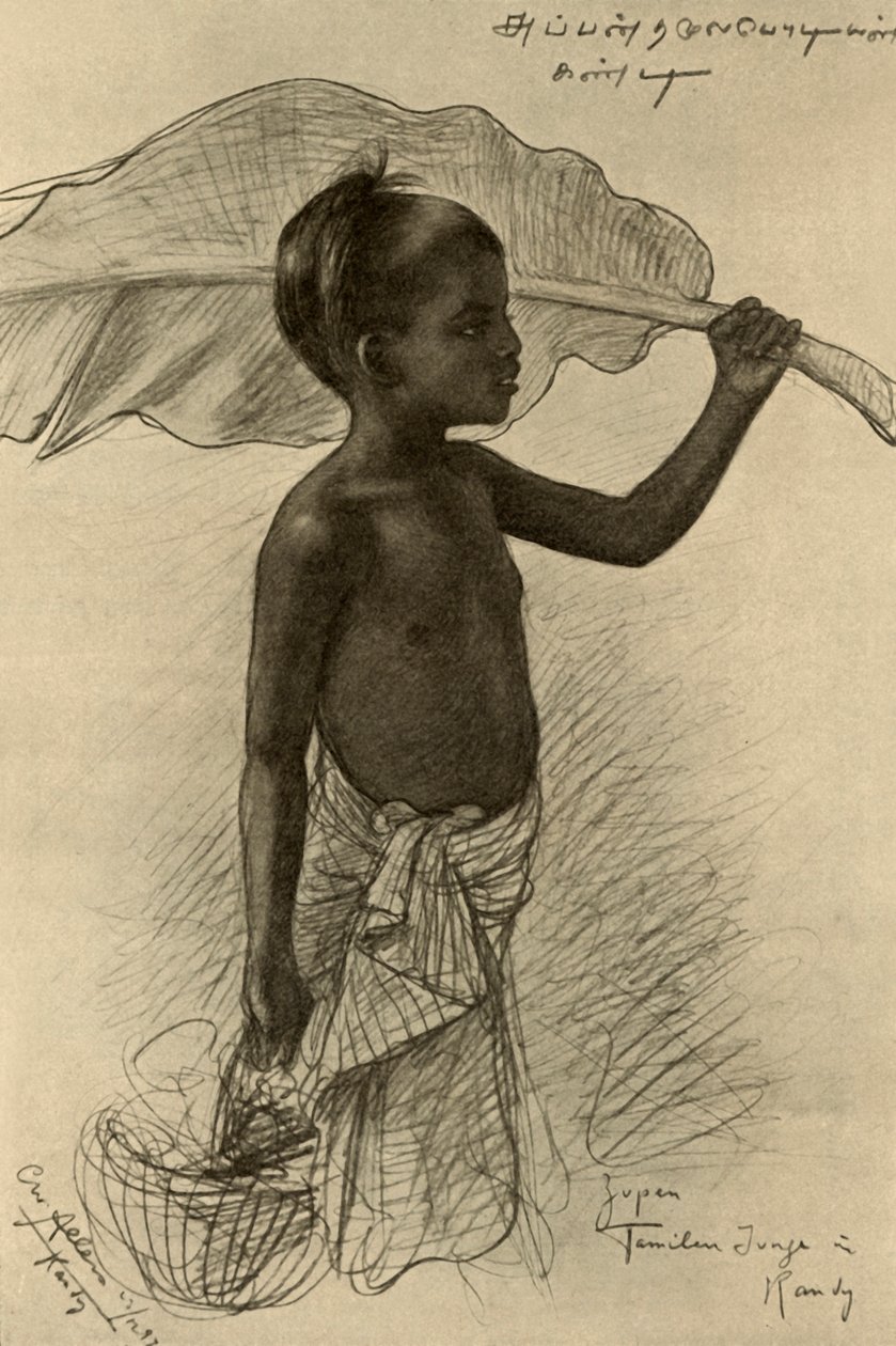 Tamil boy, Kandy, Ceylon, 1898 by Christian Wilhelm Allers