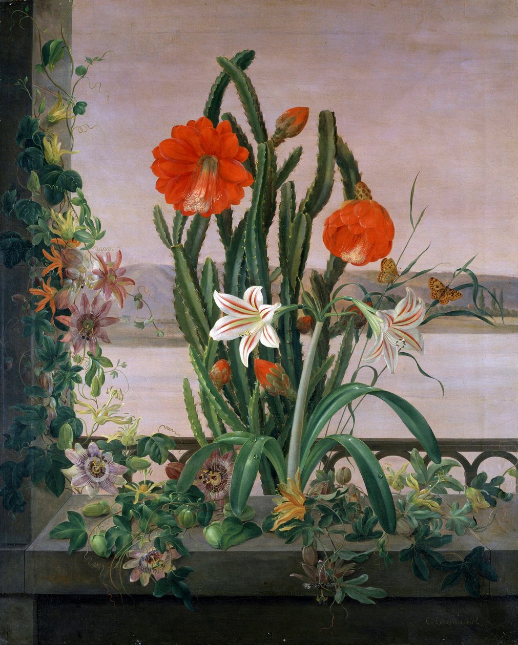 Still Life of Cactus, Lilies, and Passionflowers on the Window Ledge by Christine Lovmand