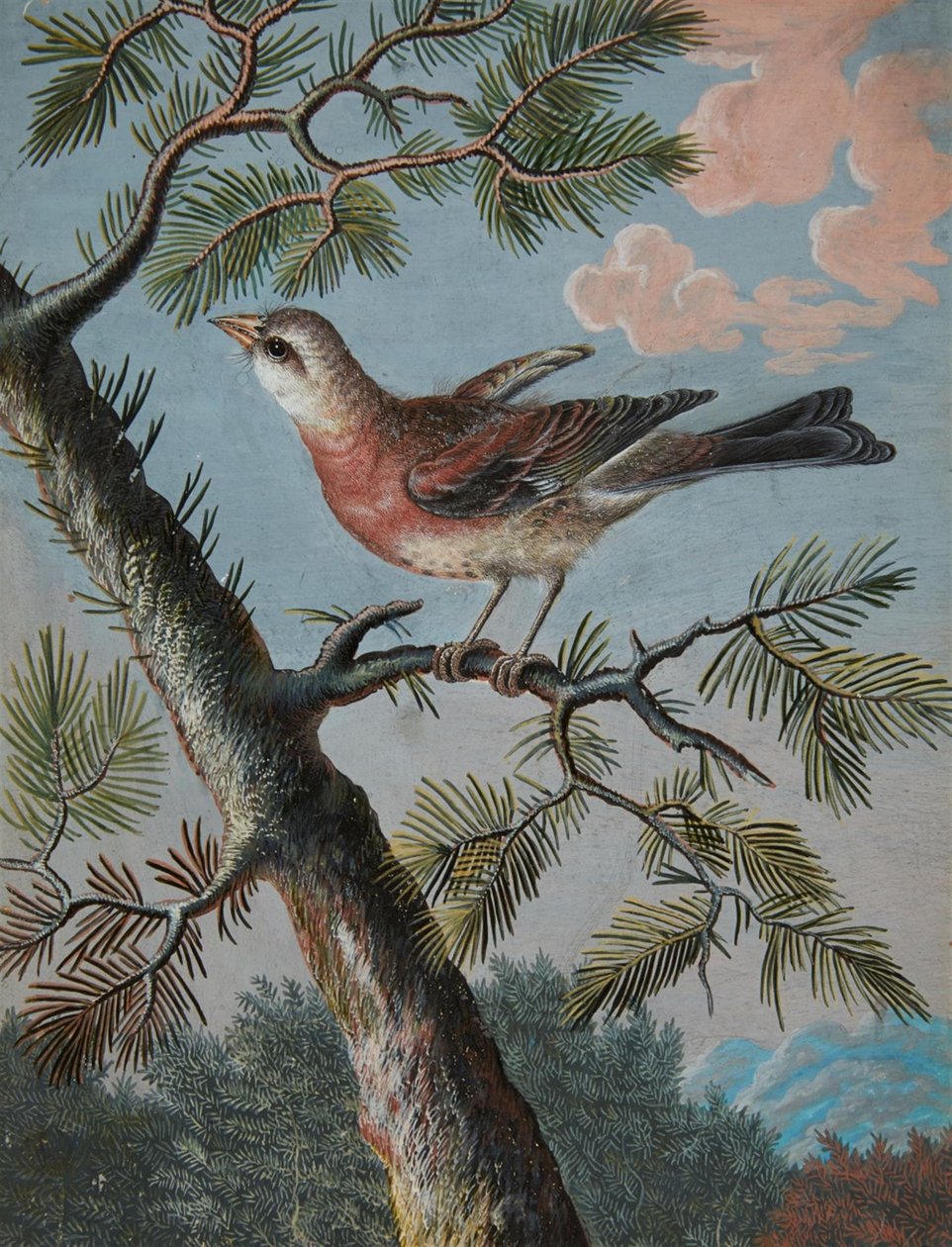 Songbird in an Evergreen by Christoph Ludwig Agricola