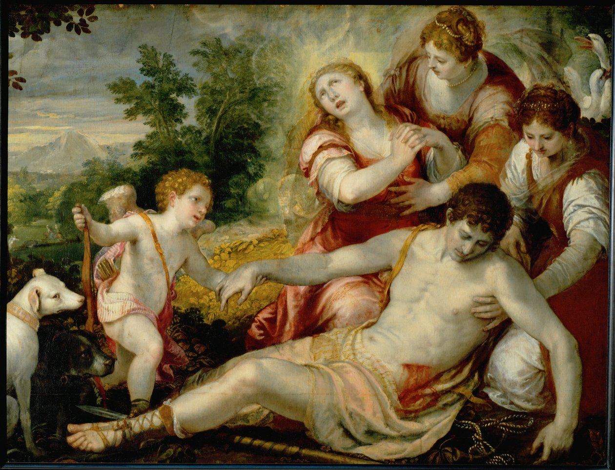 Death of Adonis by Christoph Schwartz
