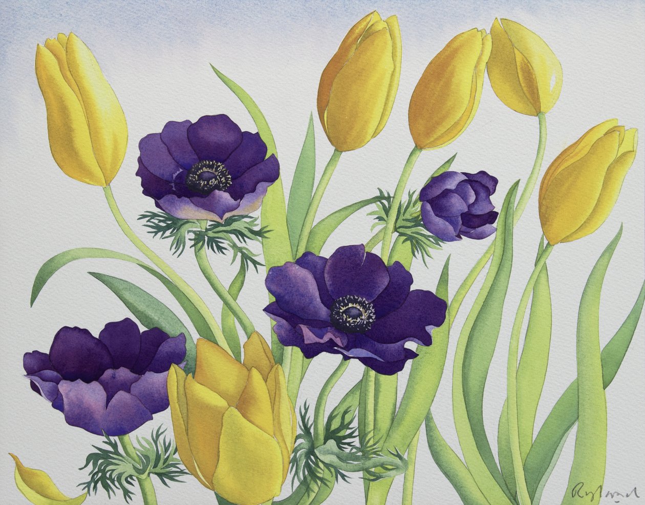 Tulips and Anemones by Christopher Ryland