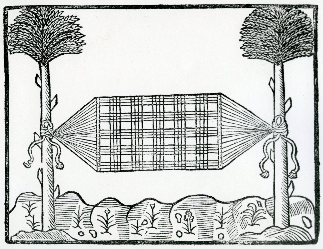 A Hammock from 