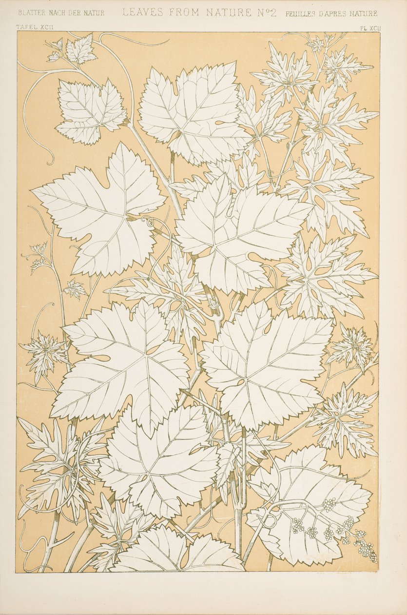 Leaves from Nature, 1868 by Christopher Dresser