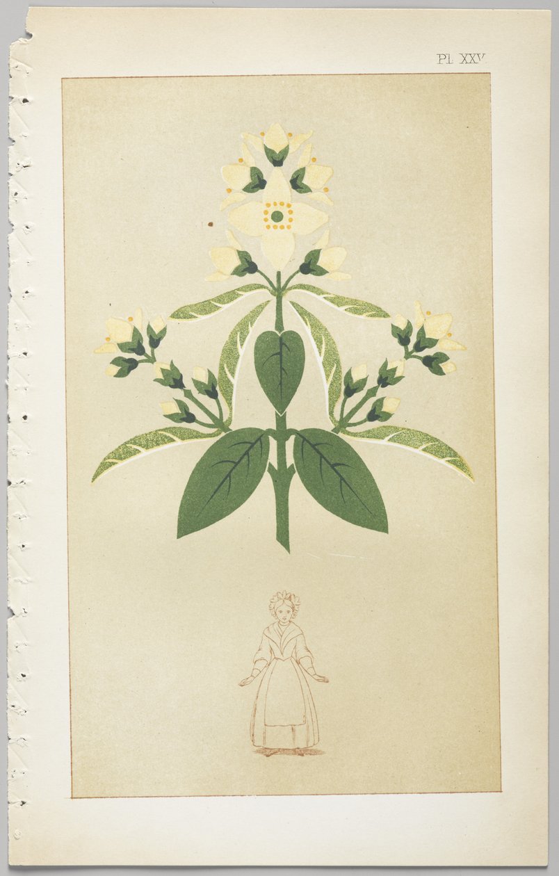 The Art of Decorative Design: With an Appendix, Giving the Hours of the Day at Which Flowers Open, Published by Day & Son, London, 1862 by Christopher Dresser