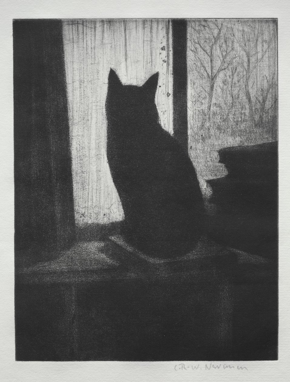 The Cat by Christopher Richard Wynne Nevinson
