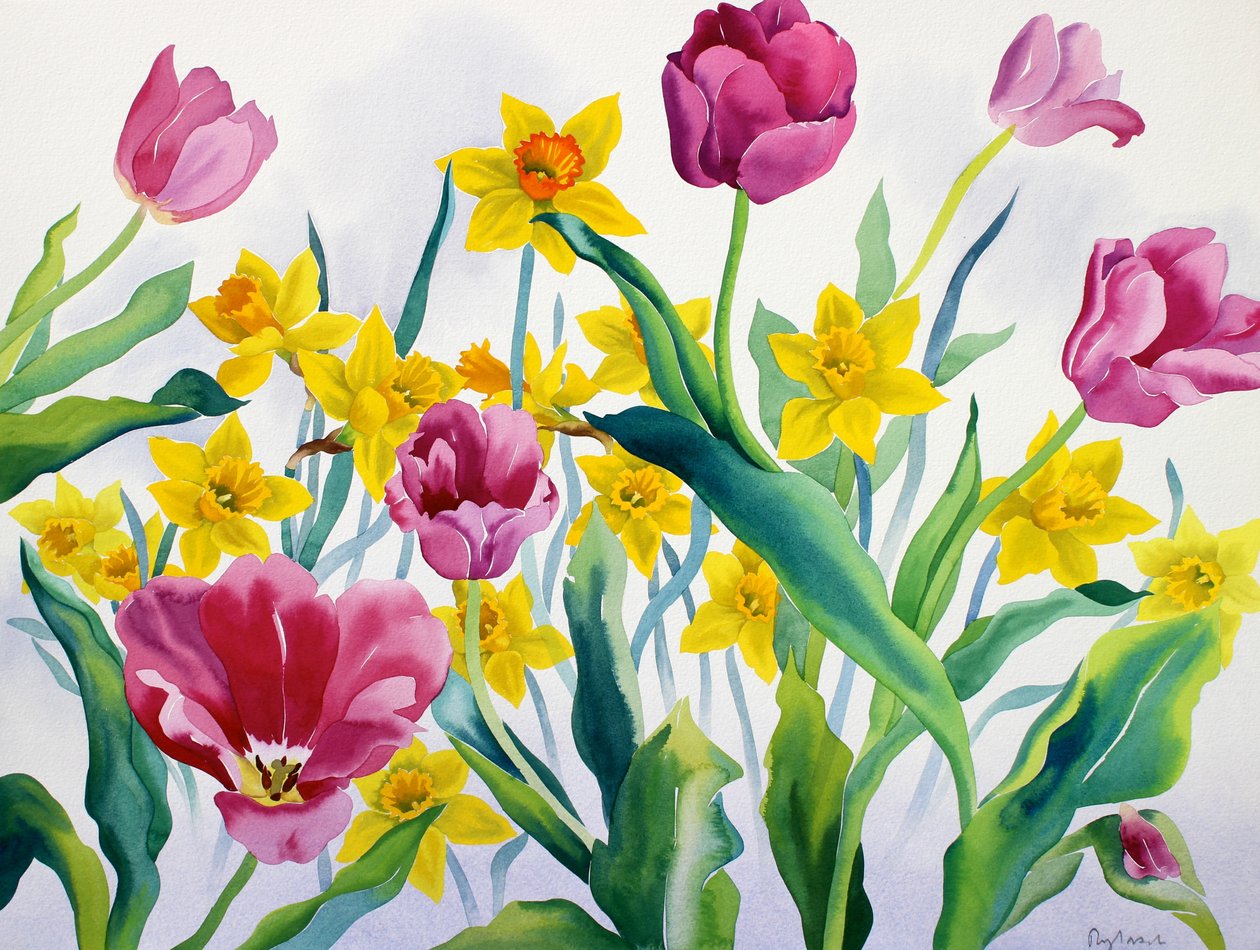 Daffodils and Tulips by Christopher Ryland