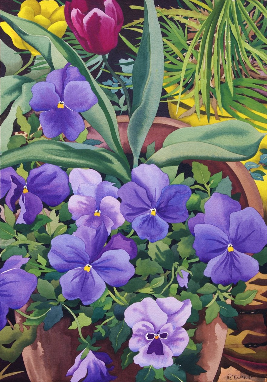 Flowerpots with Pansies, 2007 by Christopher Ryland