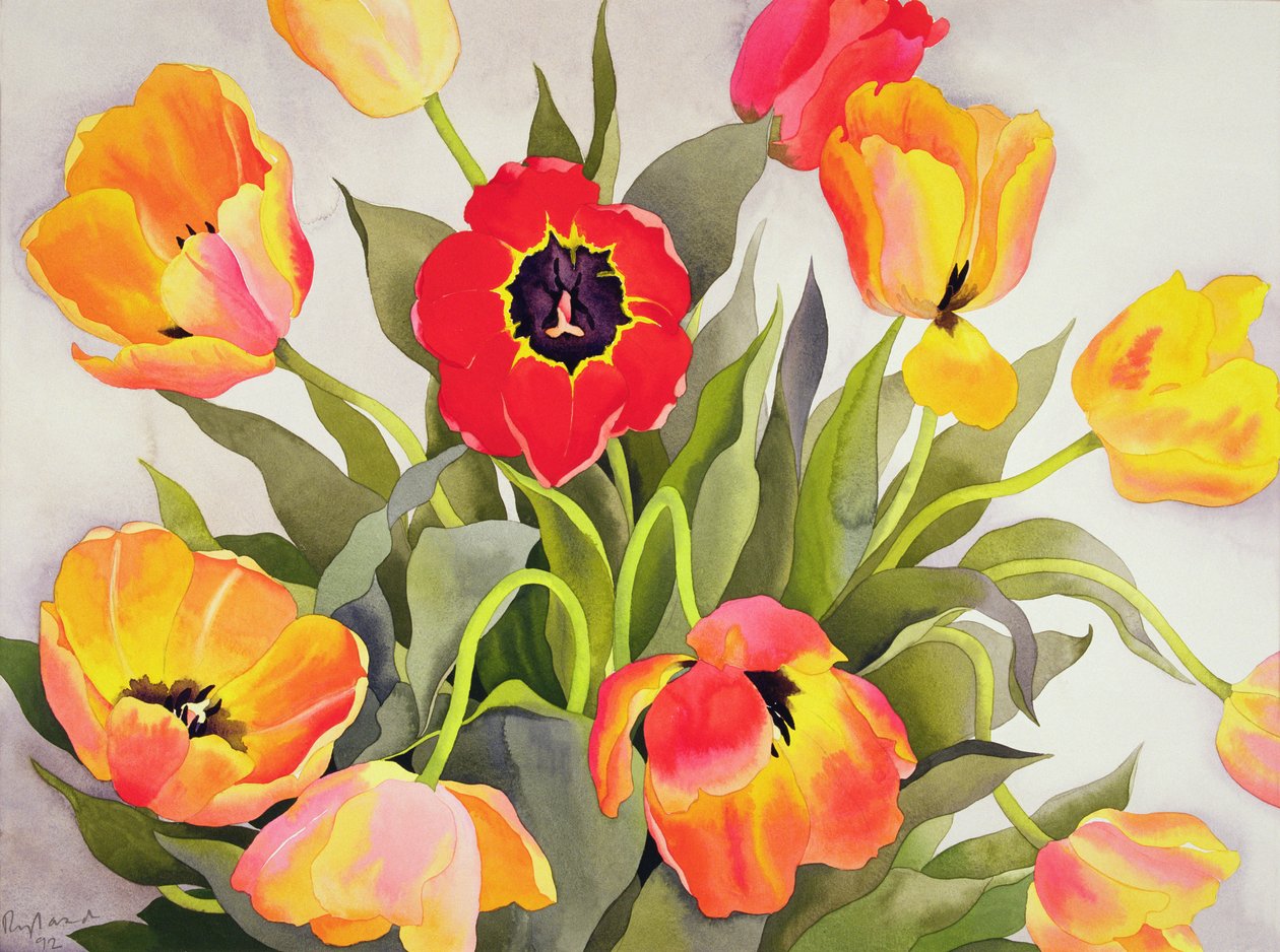 Orange and Red Tulips by Christopher Ryland