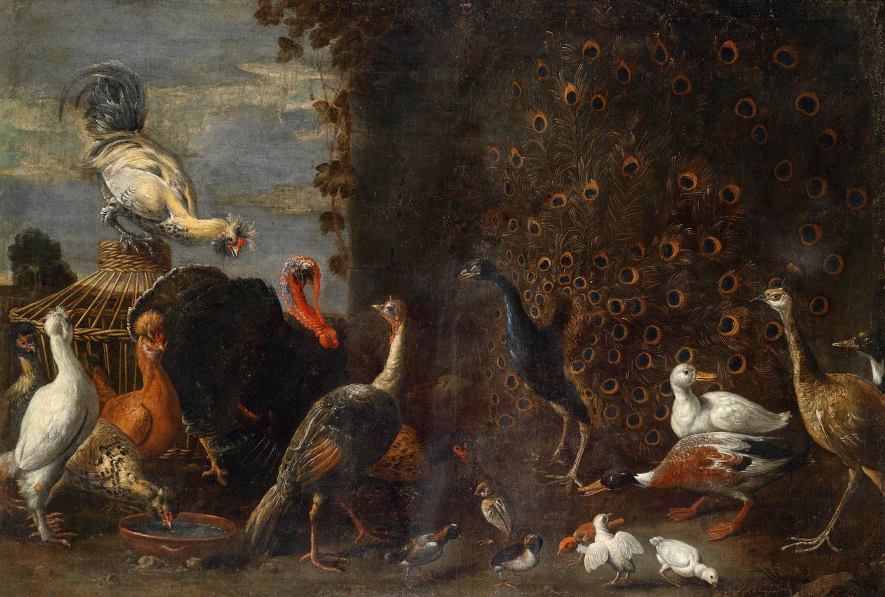 Poultry Yard with Peacock, Turkey, and Ducks by Circle of Adriaen van Utrecht