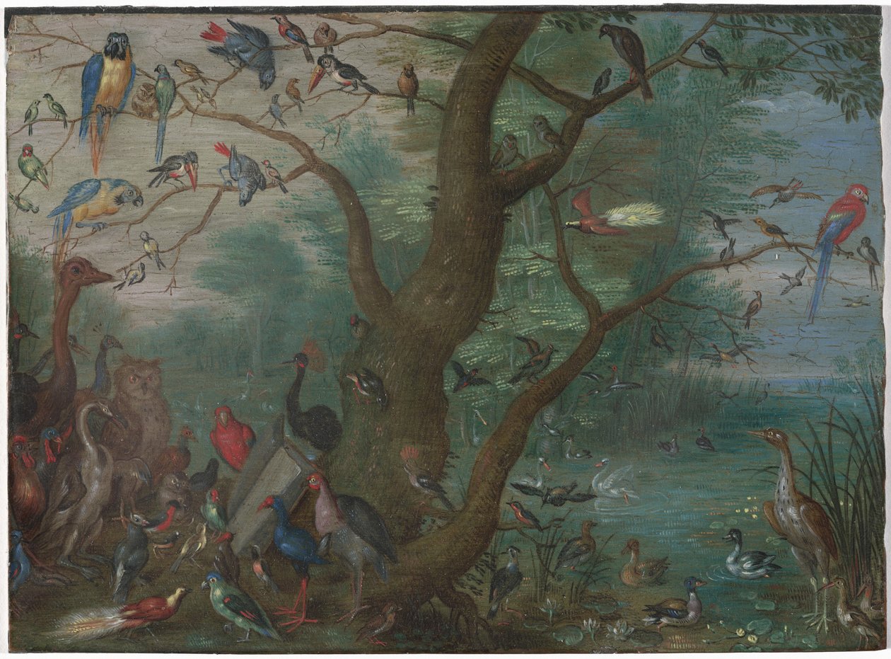 Concert of Birds by Circle of Jan van Kessel the Elder