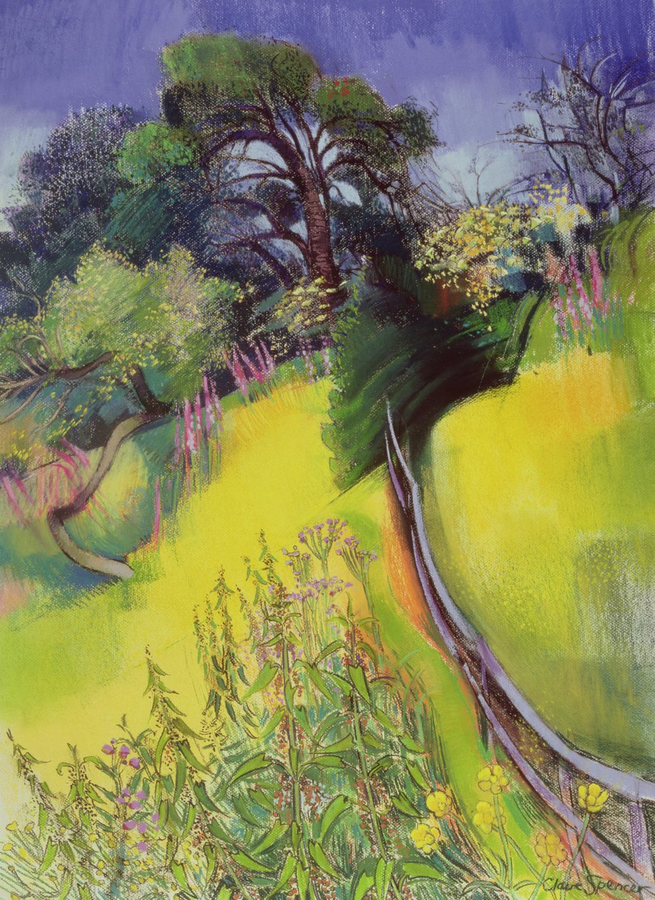 Midsummer by Claire Spencer