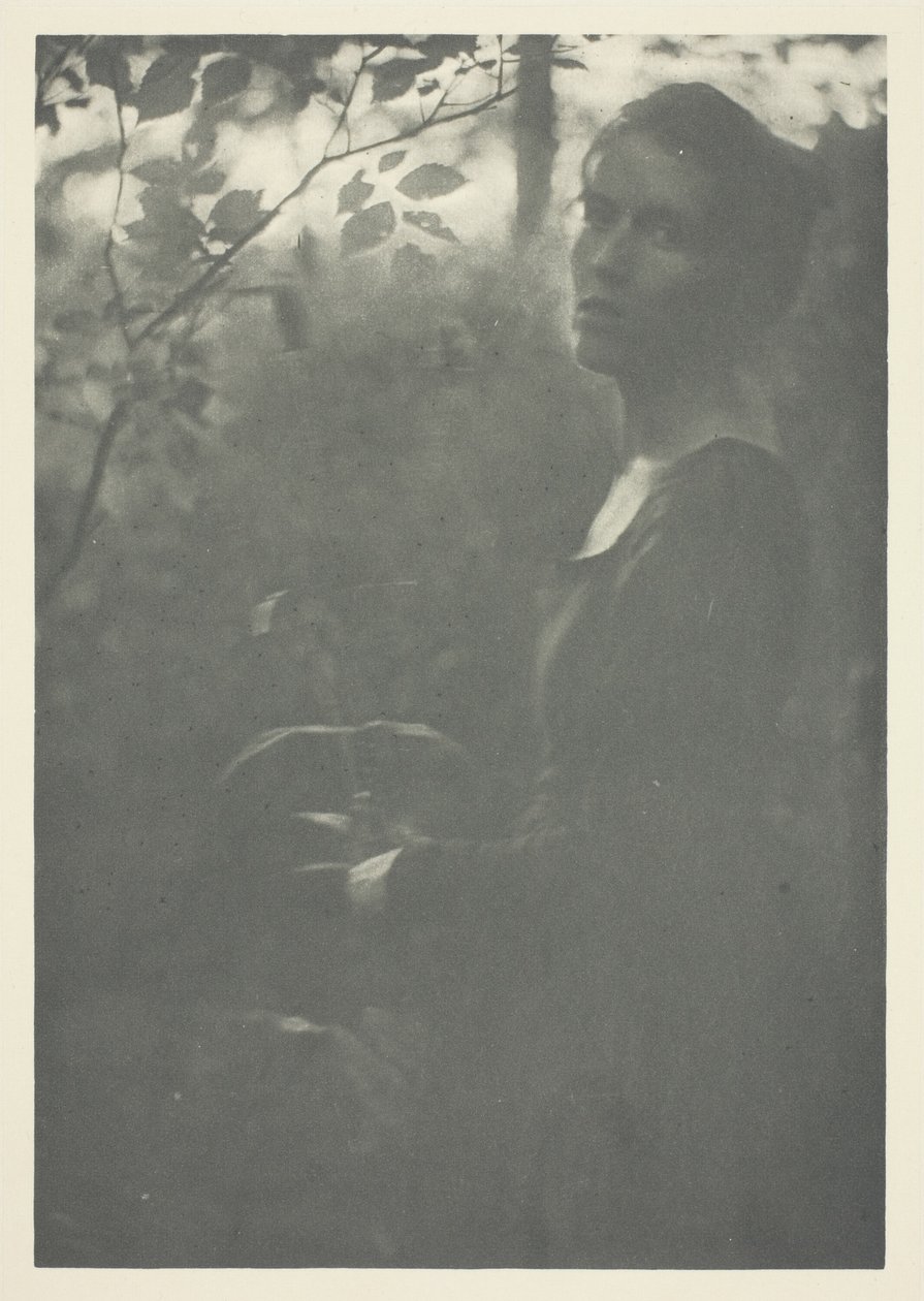Edge of Woods by Clarence H. White
