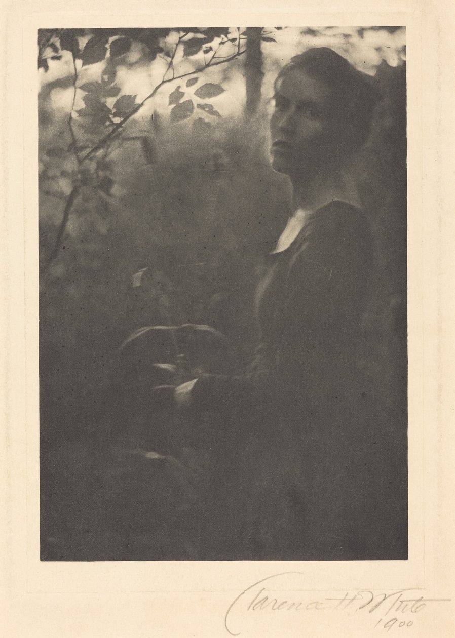 Edge of the Woods, Evening by Clarence Henry White