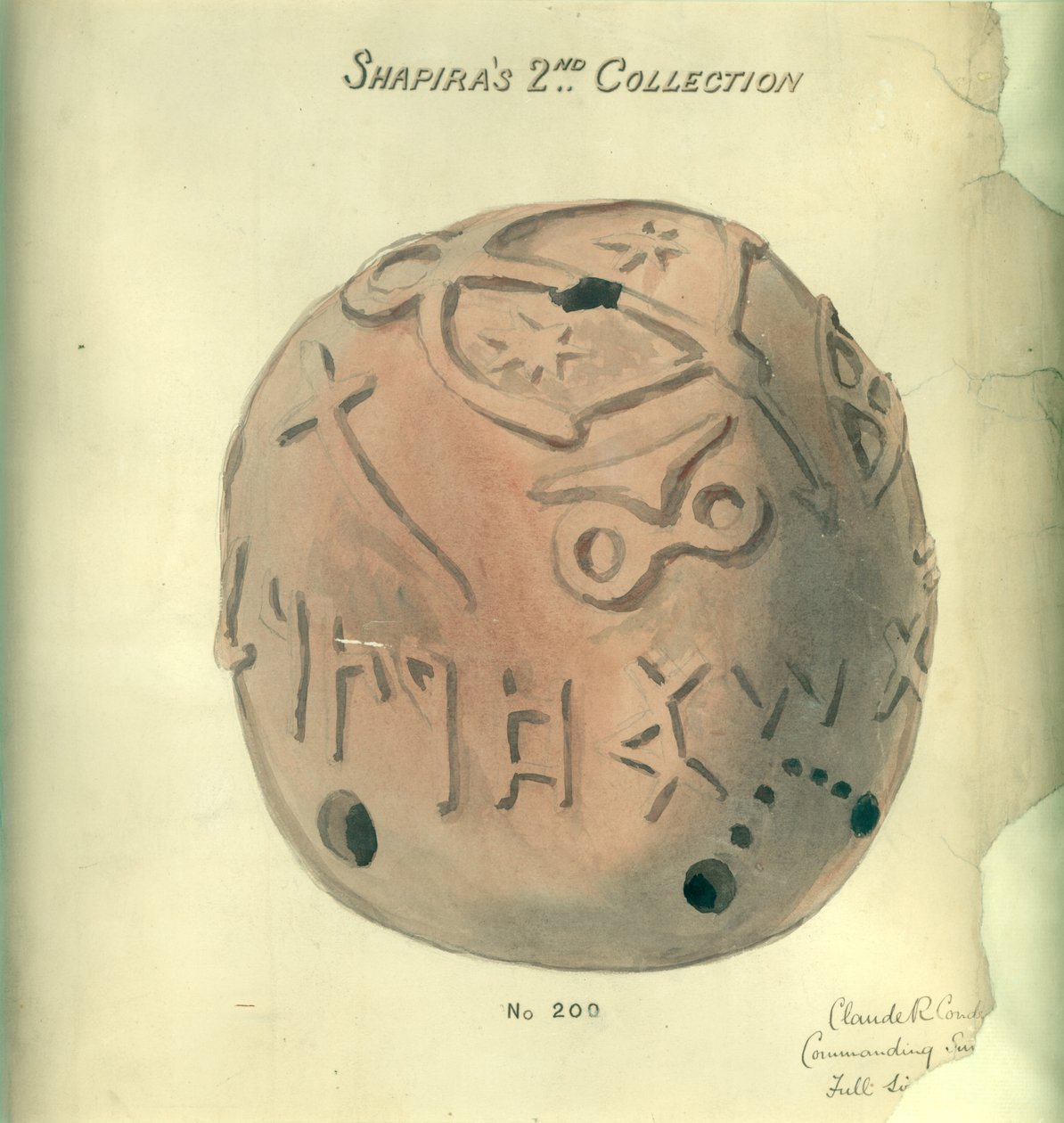 Shapira
