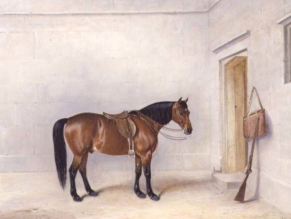 Saddled Bay Shooting Pony by Claude L. Ferneley