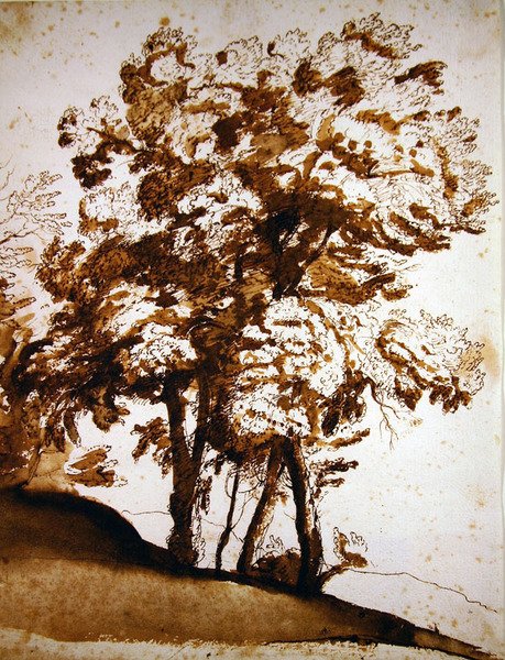 A Group of Trees in Sunlight by Claude Lorrain