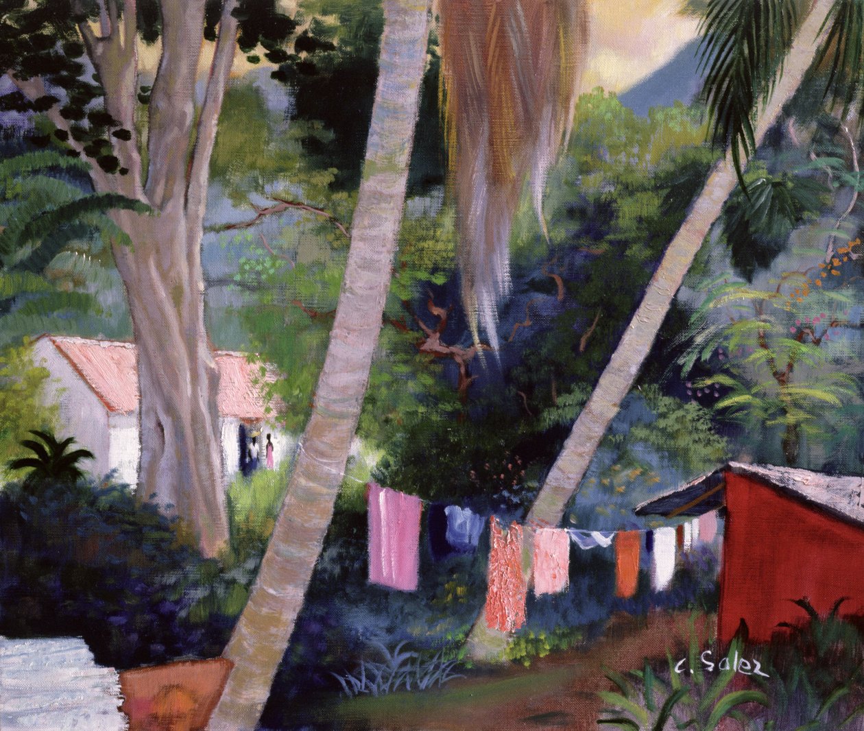 Drying Washing, Guadeloupe by Claude Salez