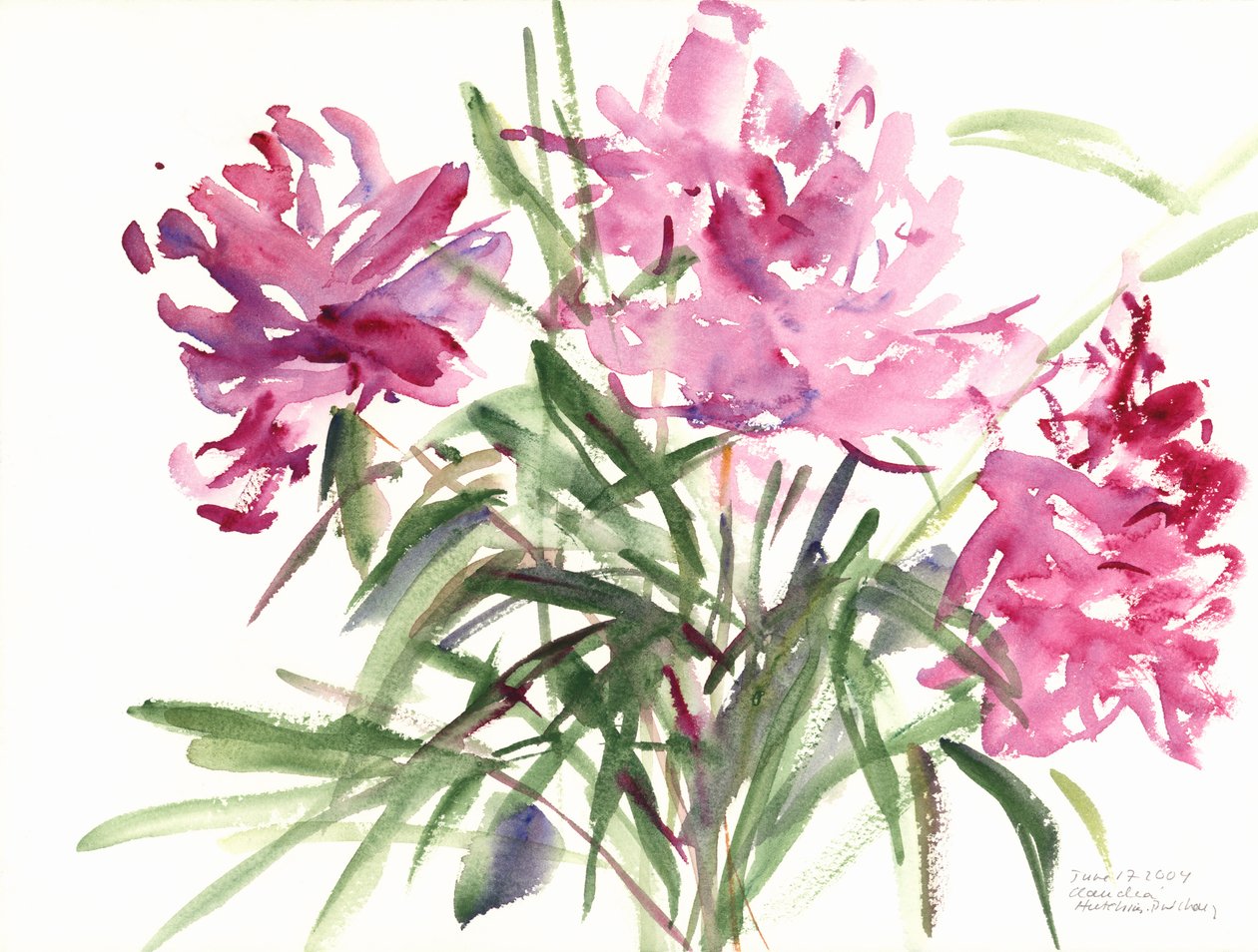 Peonies, 2004 by Claudia Hutchins Puechavy