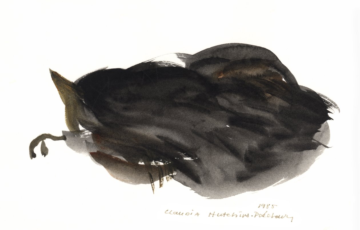 Sleeping Cat, 1985 by Claudia Hutchins Puechavy