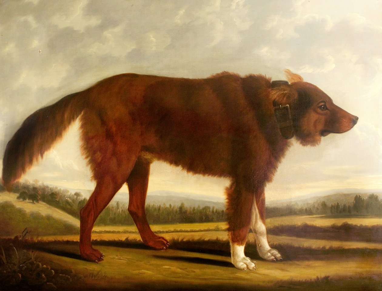 Lord Byron