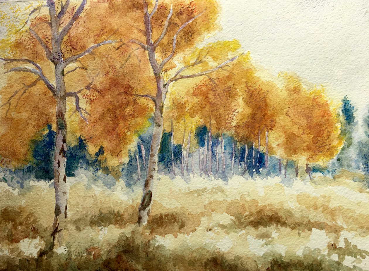 Autumn Aspens in the Tetons, 2011 by Clive Wilson