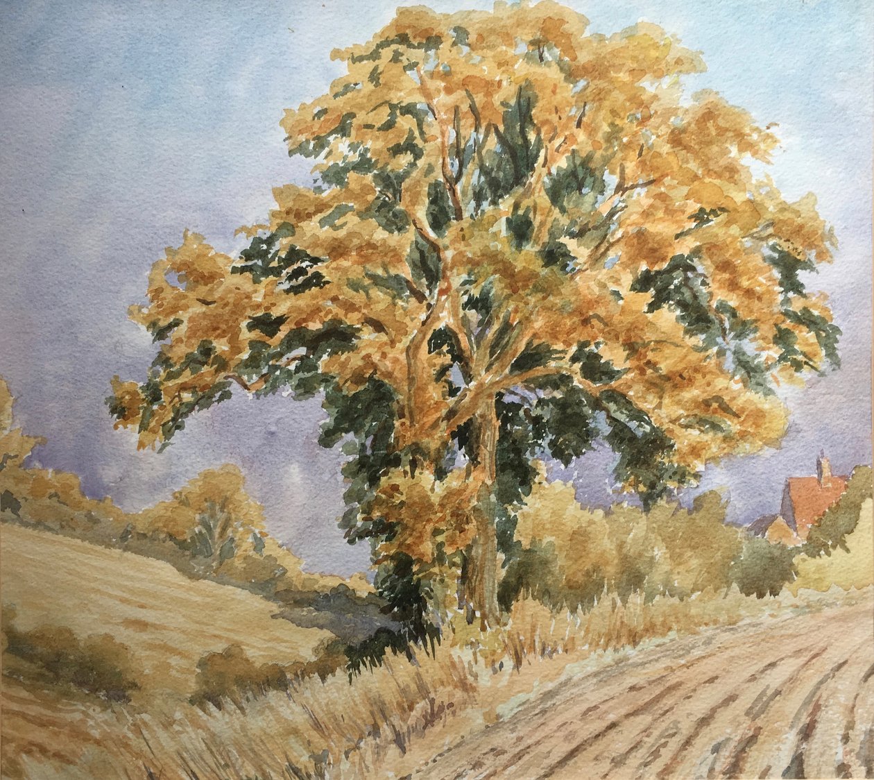 Harvest Sunset, North Denford by Clive Wilson