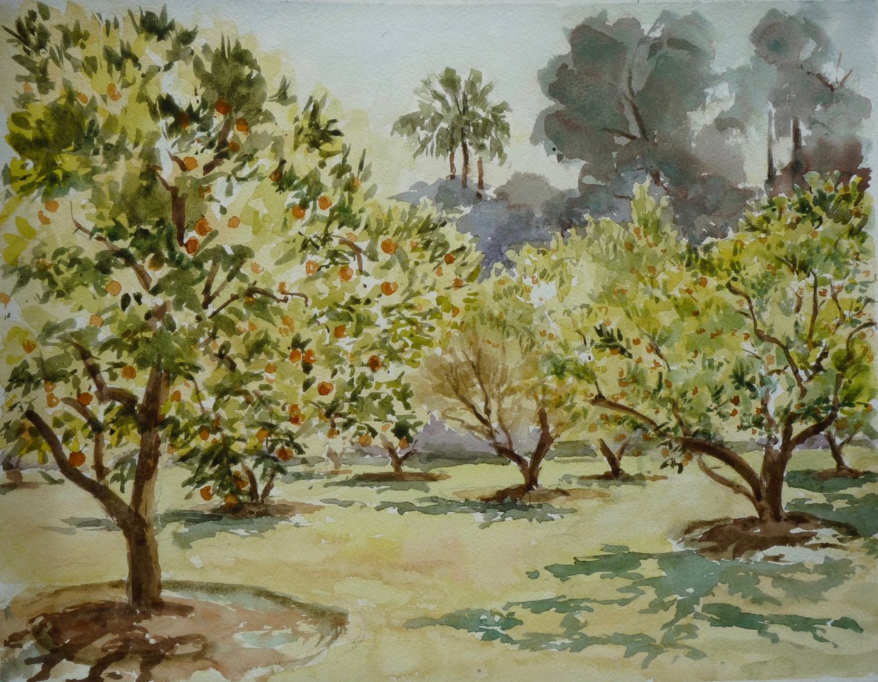 Mamounia, Orange Groves, 2000 by Clive Wilson