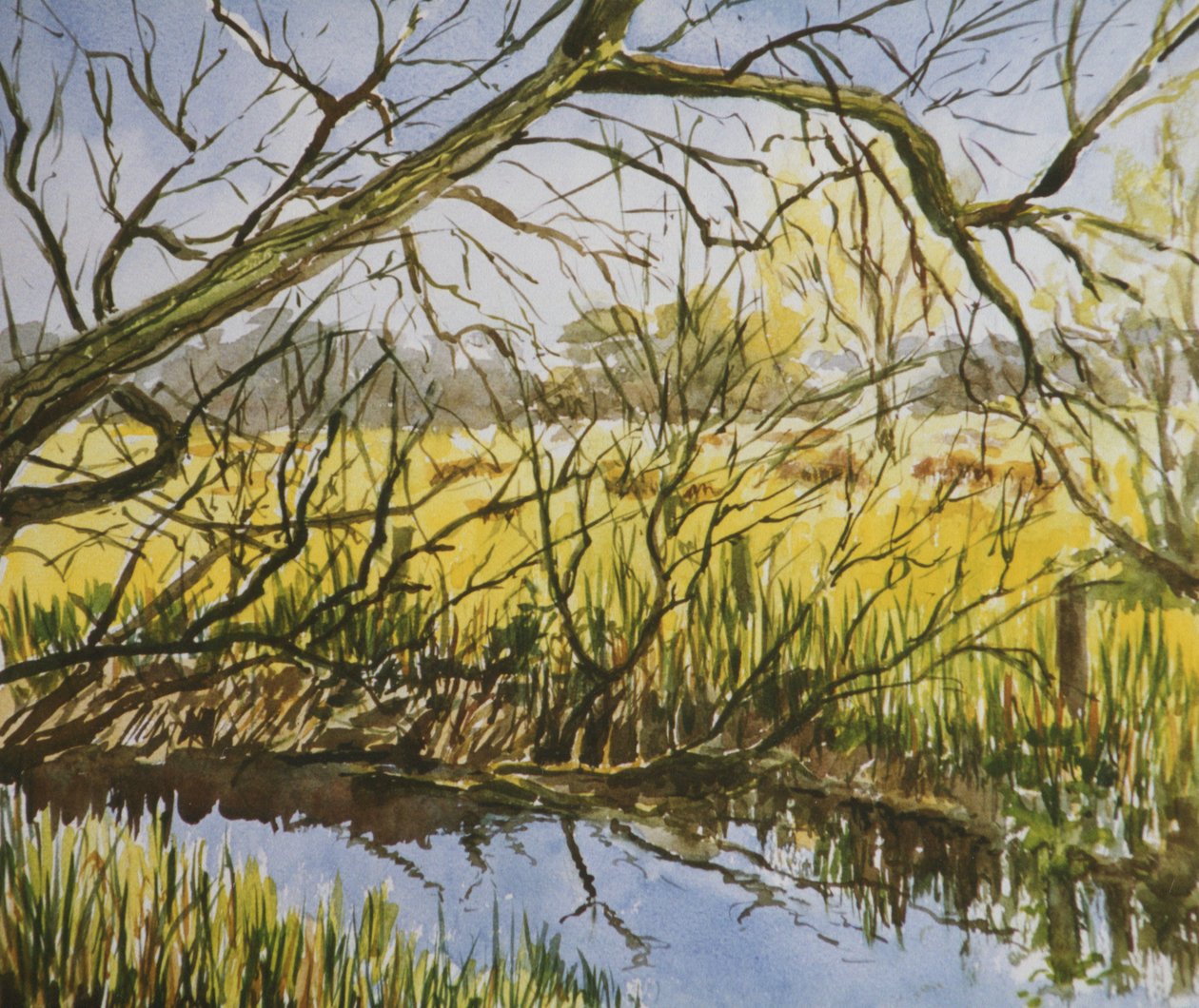 Water Meadows, Kintbury, Early May Afternoon by Clive Wilson