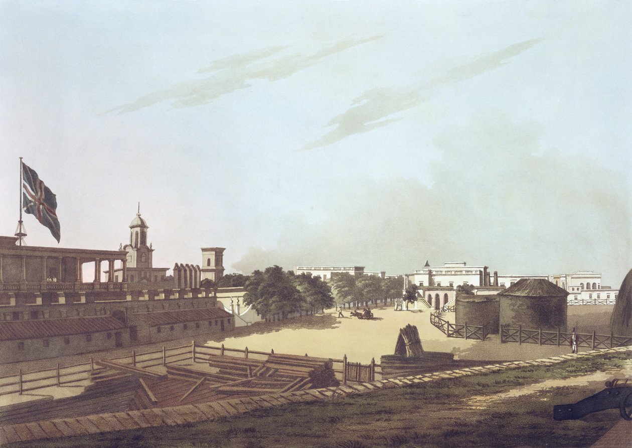 A View from the King