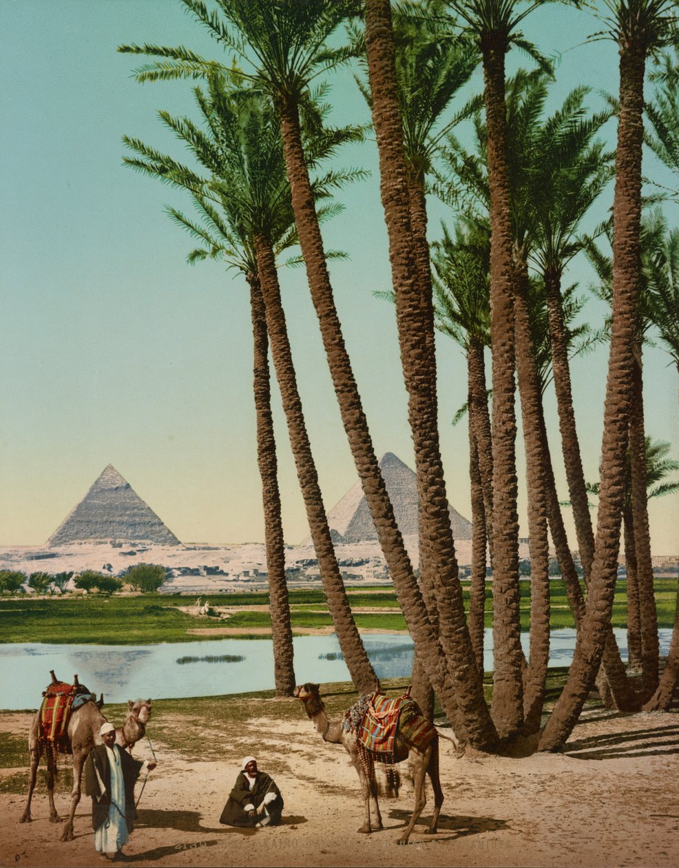 Palm Trees, Bedouins and Pyramids, Cairo, Egypt by Company Photoglob