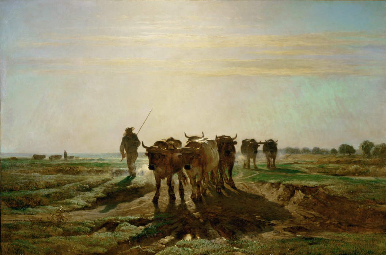 Cattle Walking to Work, Morning, 1855 by Constant Emile Troyon