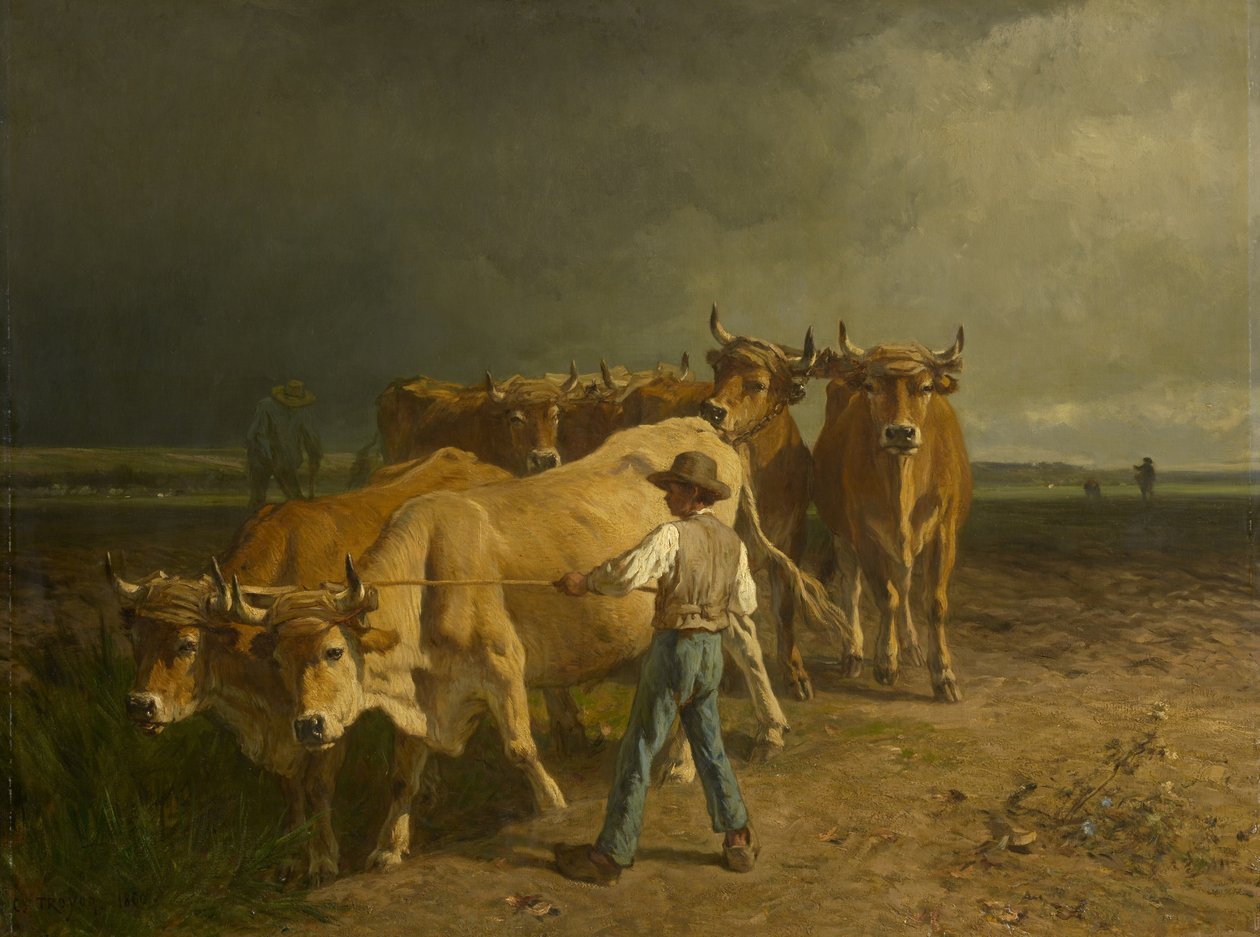 Oxen Plowing by Constant Emile Troyon