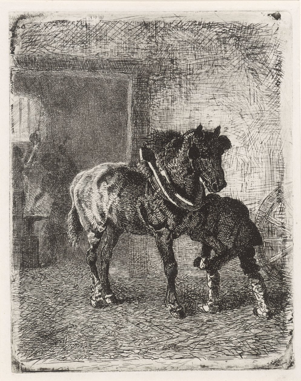 Horse Being Shod in a Blacksmith