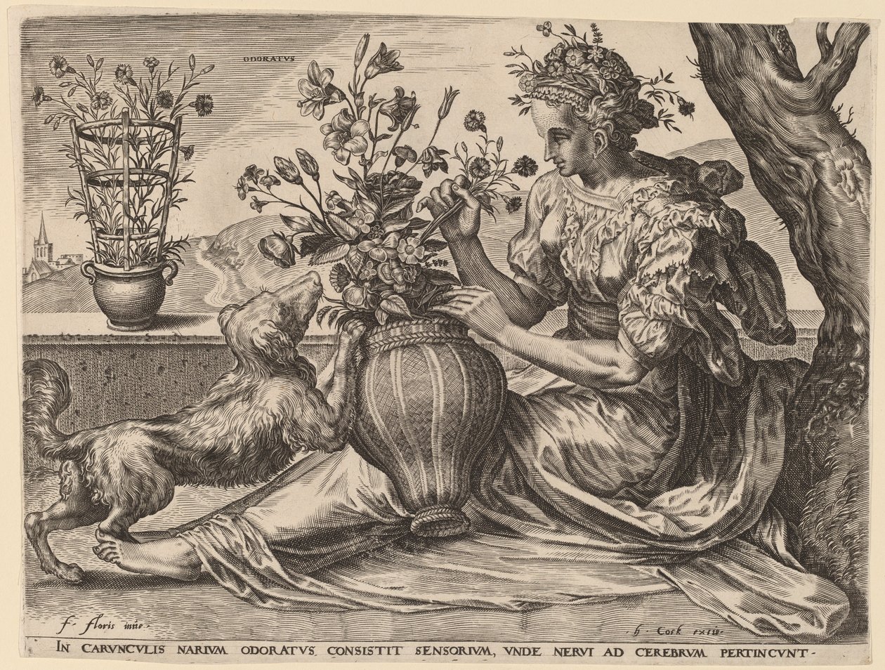 Odoratus by Cornelis Cort after Frans Floris I
