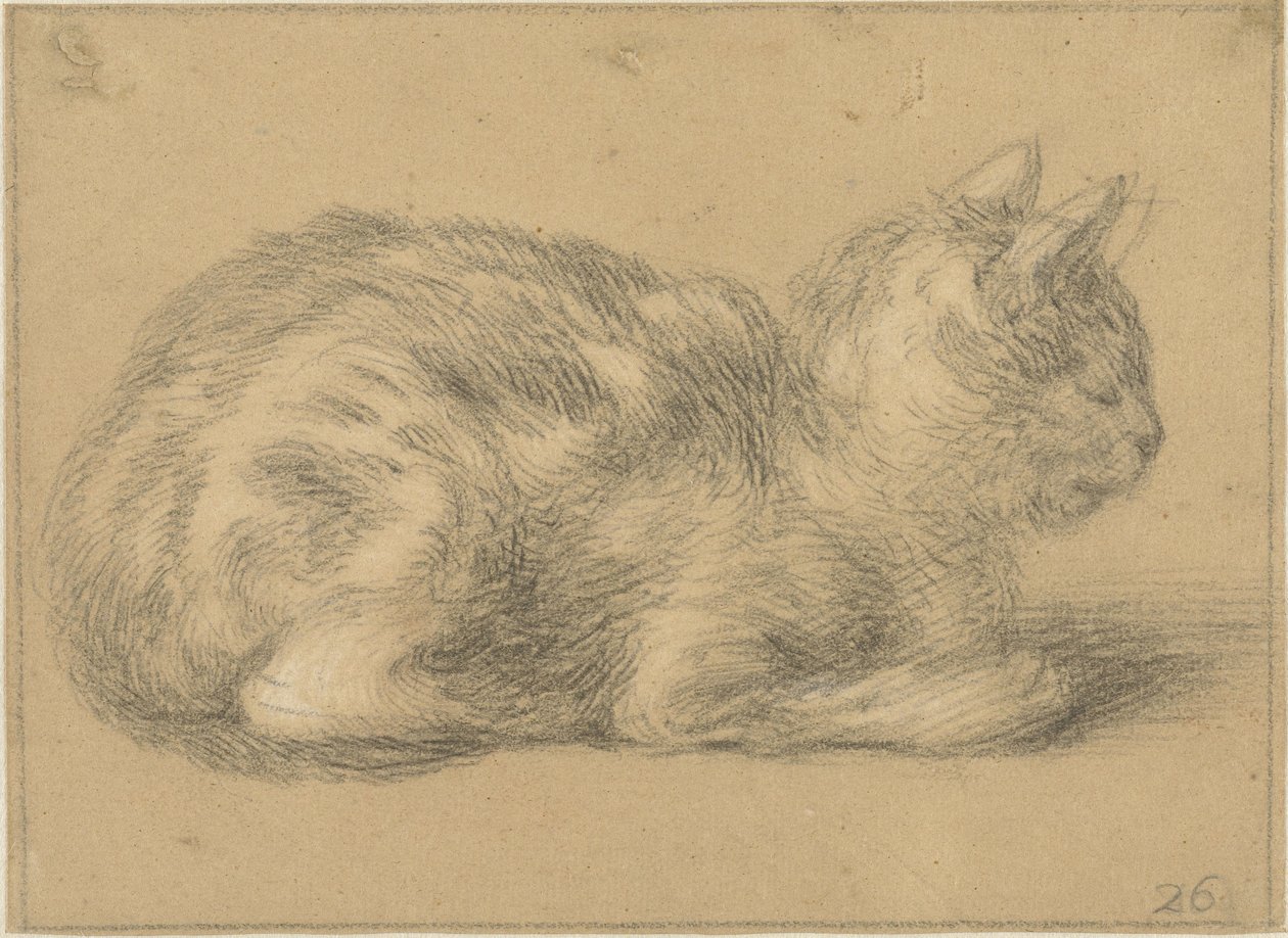 Seated Cat, Facing Right by Cornelis Saftleven (possibly)