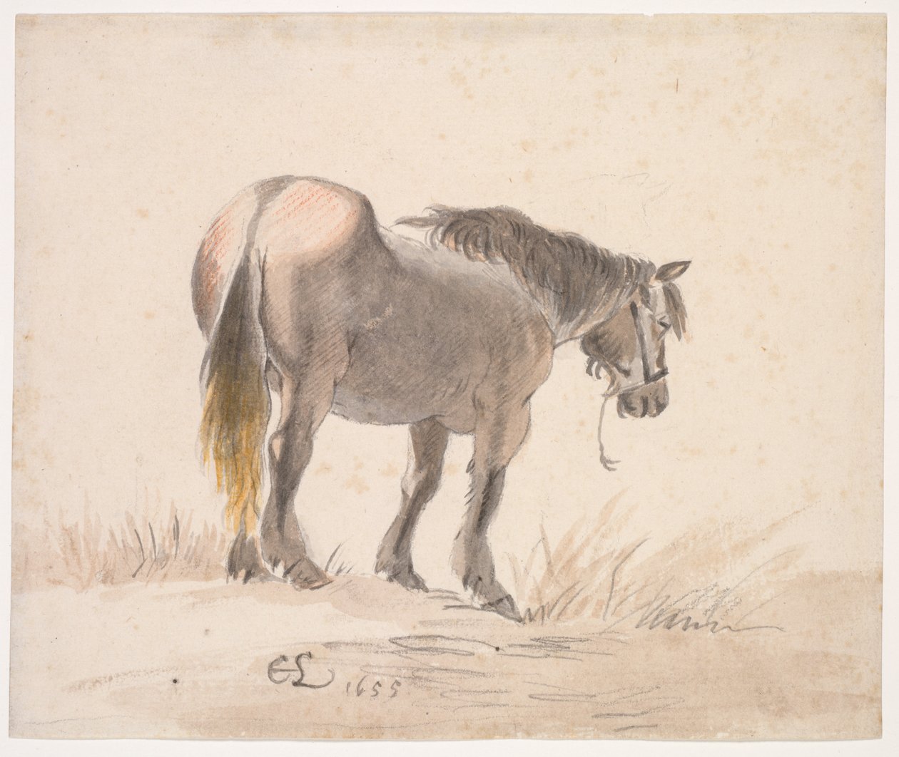 Horse Standing on a Mound by Cornelis Saftleven