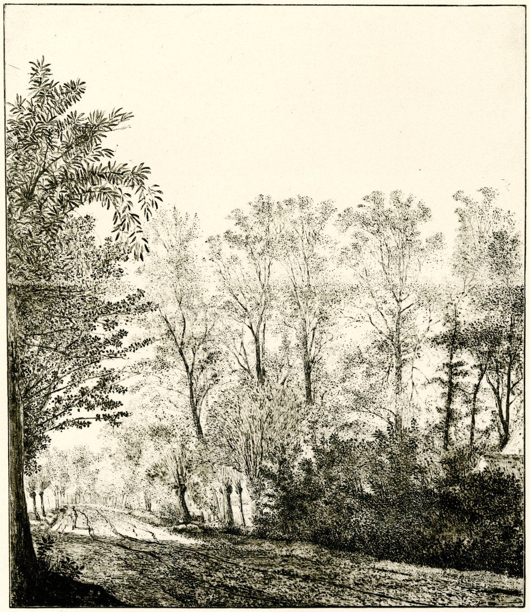 Trail Through a Forest by Hendrick Cornelisz. Vroom
