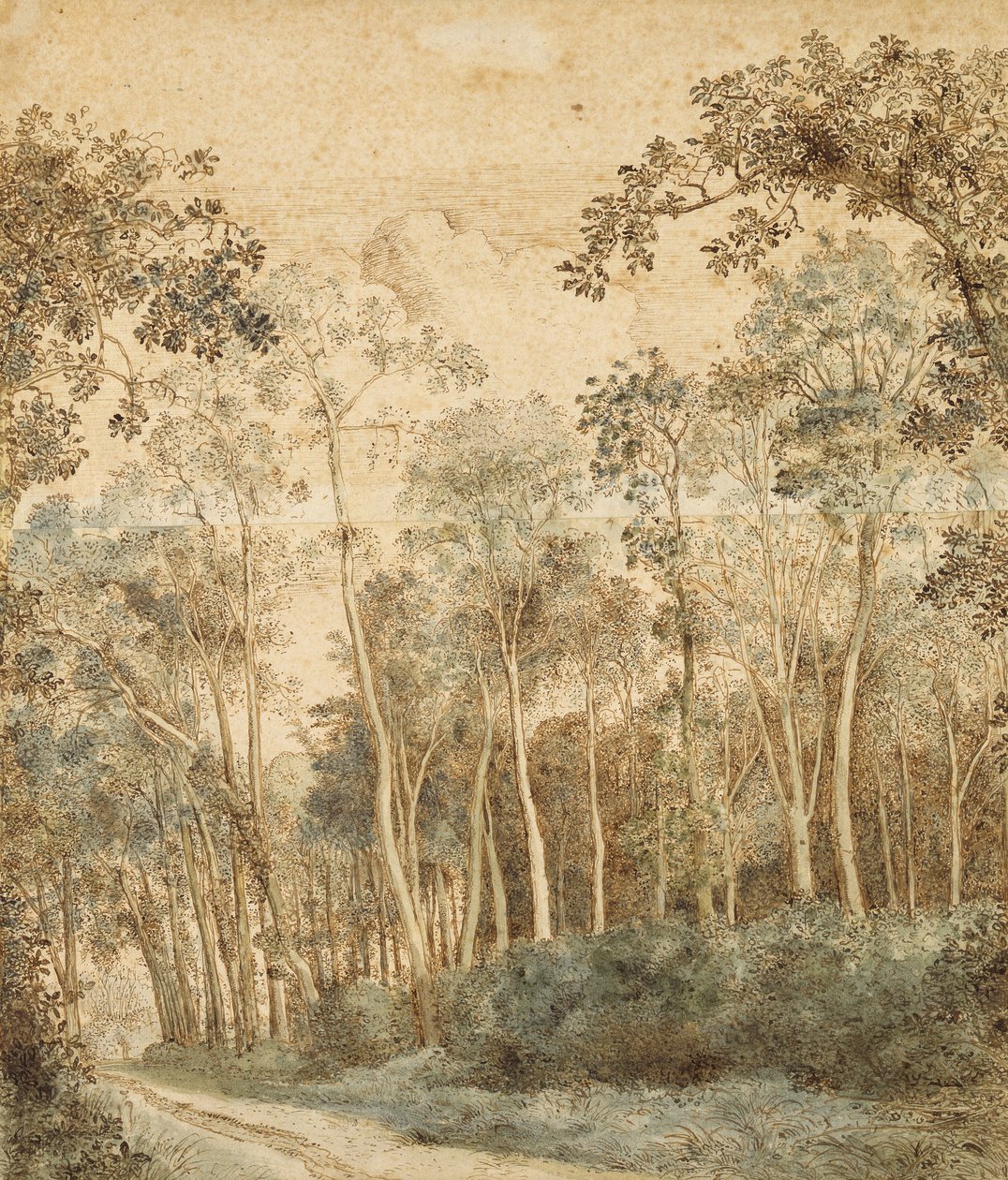Wooded Landscape by Hendrick Cornelisz. Vroom