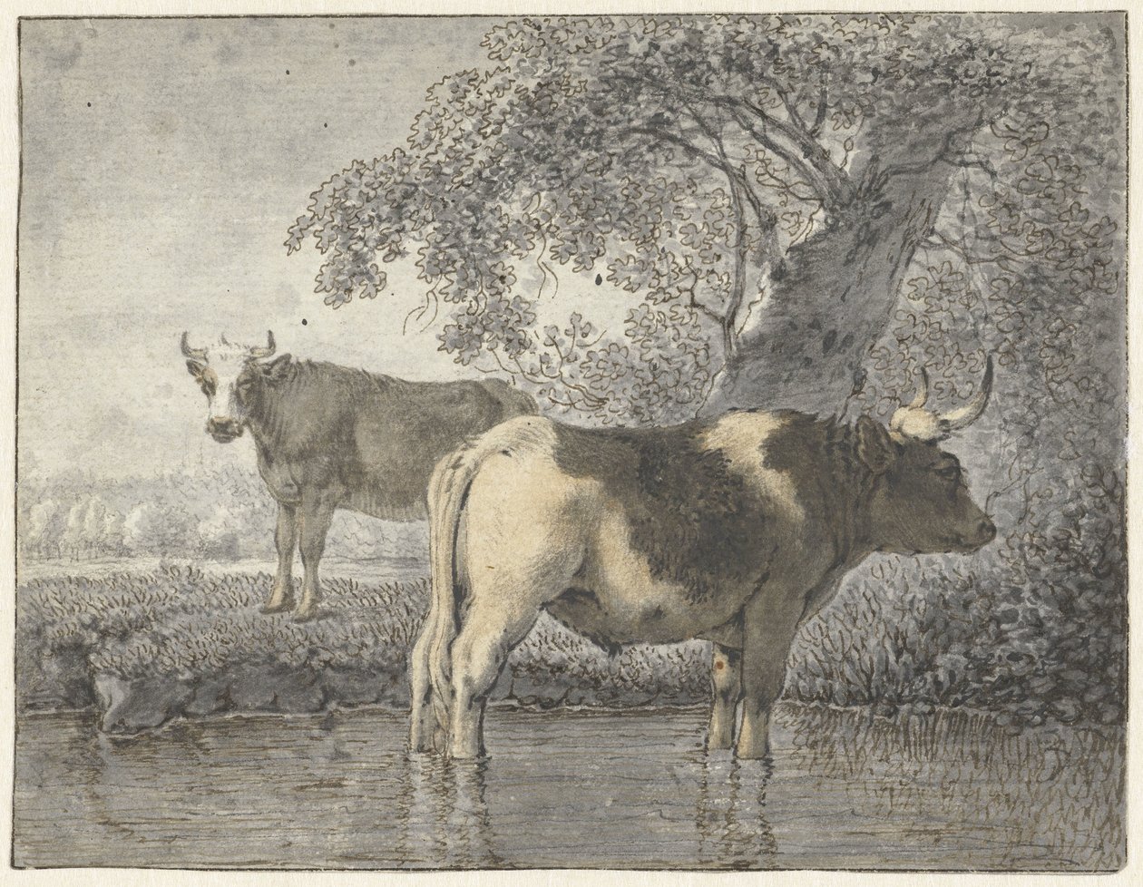 Two Cows Under a Tree by the Water by Cornelis van Noorde