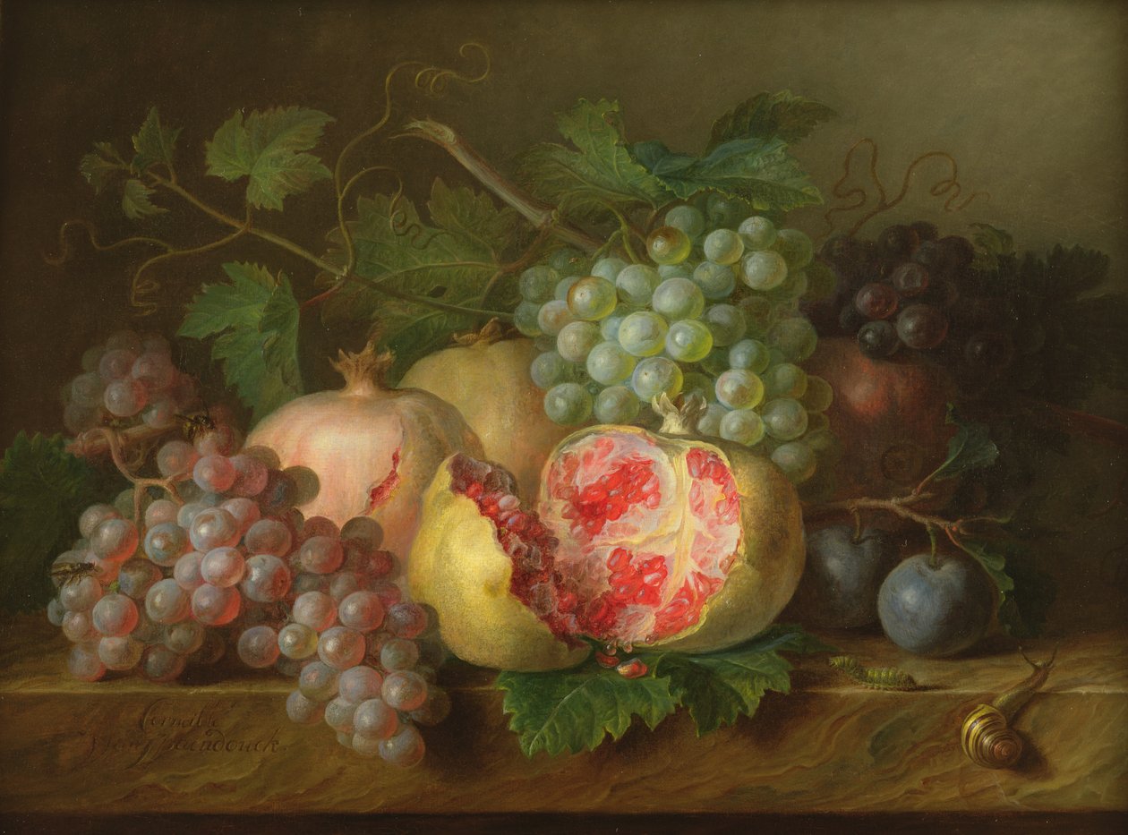 Still Life of Pomegranates, Grapes and Plums on a Marble Ledge by Cornelis van Spaendonck