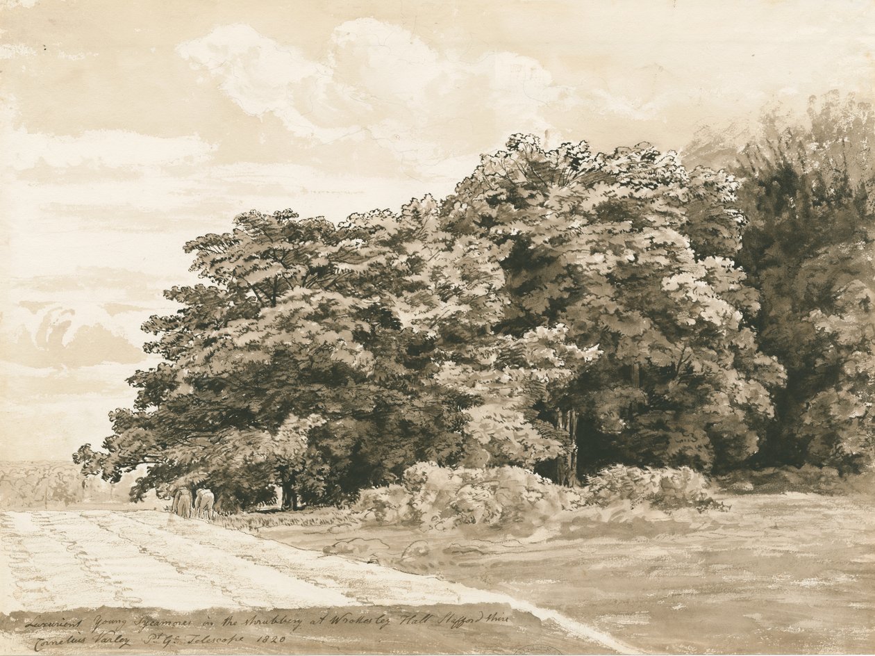 Wrottesley Hall - The Shrubbery, 1820 by Cornelius Varley
