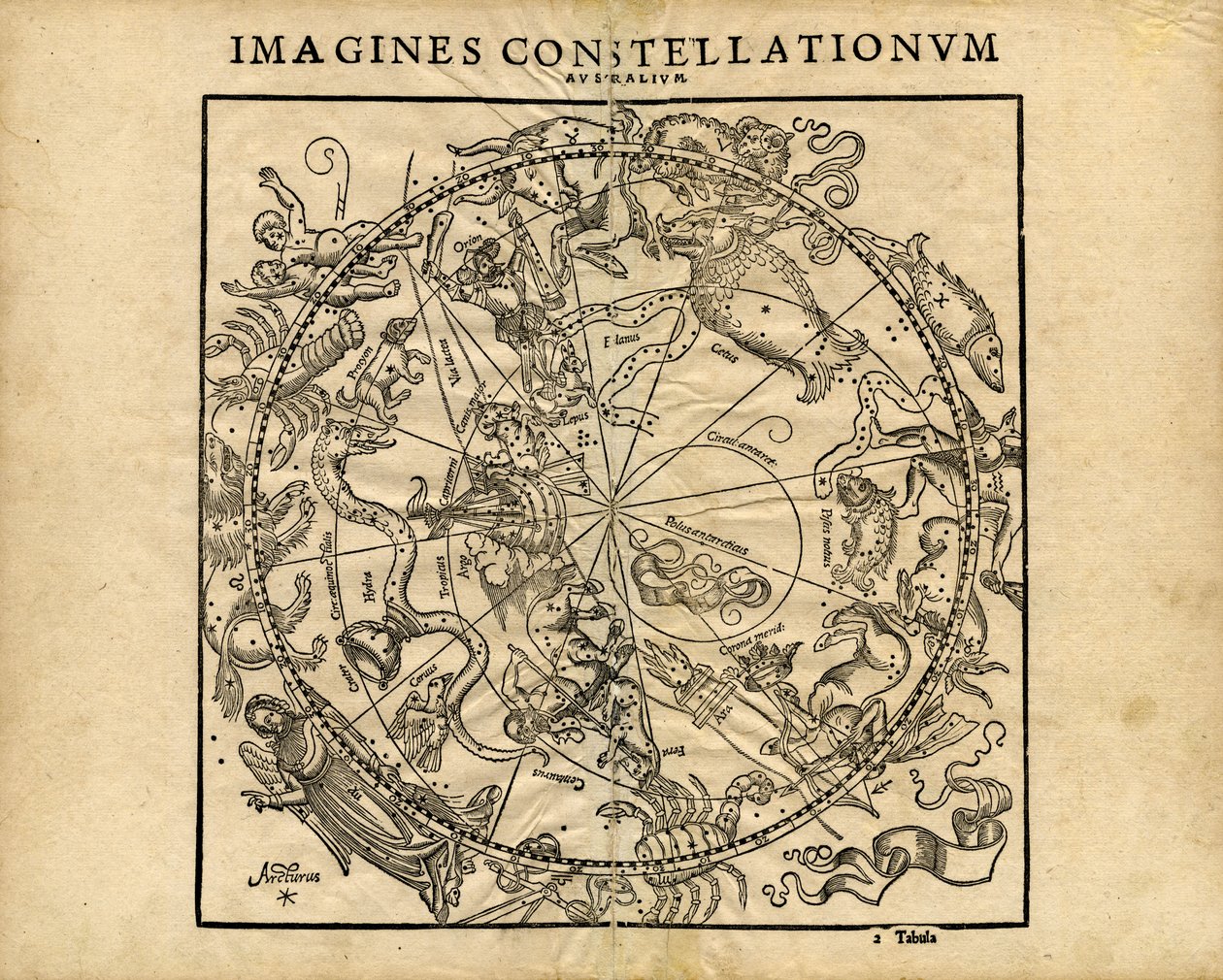 Southern Celestial Planisphere by Coronensis & Petri Heinrich Honter