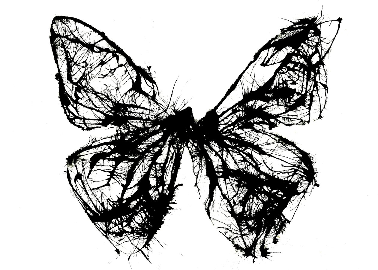 Black Butterfly, 2021 by Courtenay Kusitor