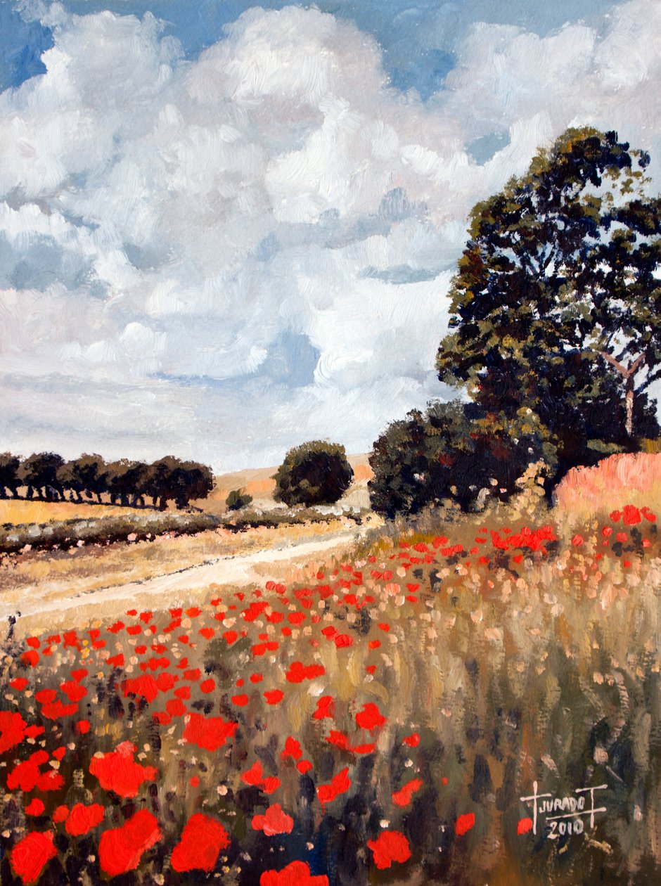 Wild Poppies, Hertfordshire by Cruz Jurado Traverso