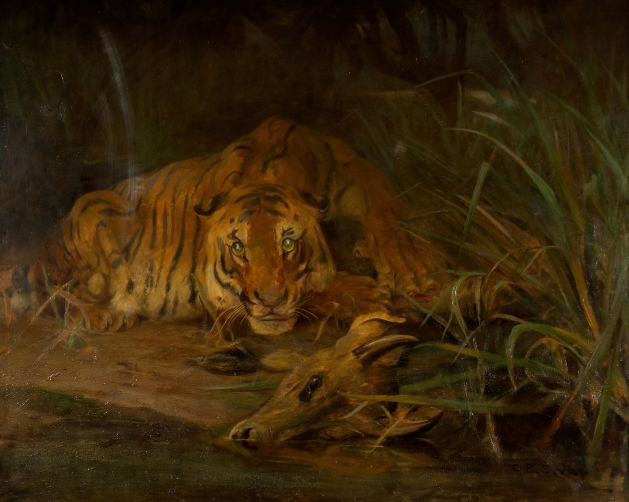 Tiger And Prey, 1931 by Cuthbert Edmund Swan