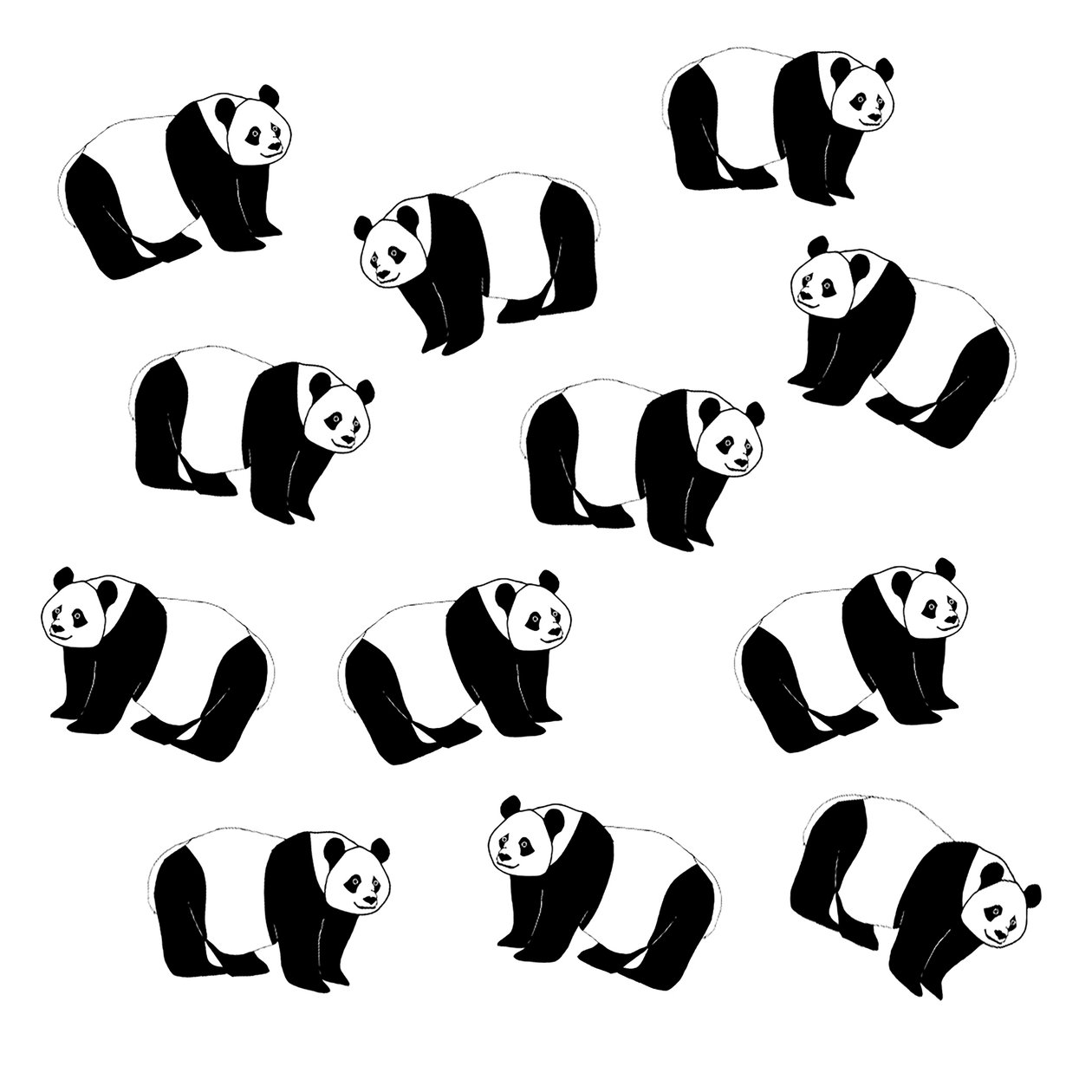 Pandas, 2024 by Daisy de Villeneuve