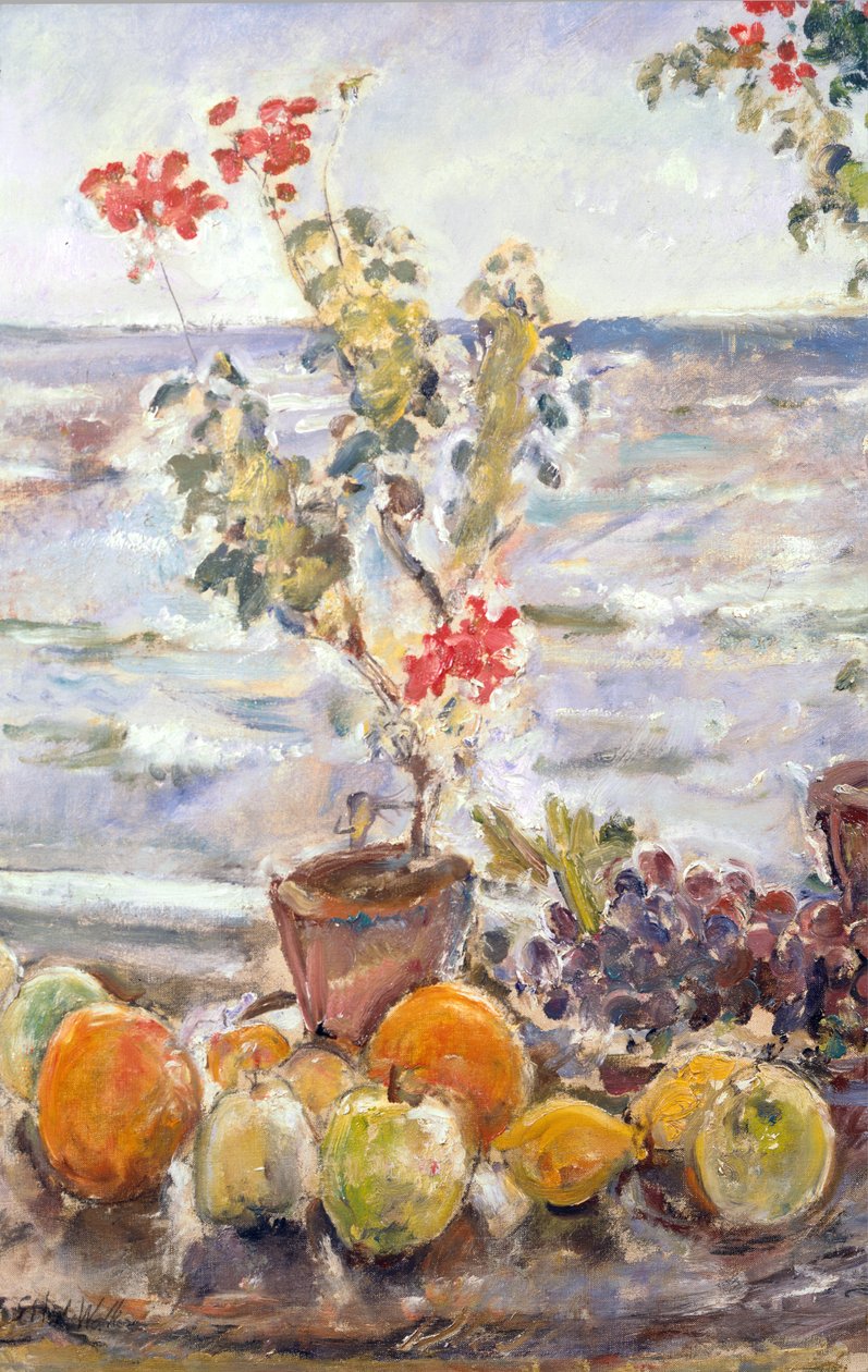 Geraniums and Fruit, Robin Hood